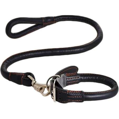 Leather collar for dogs