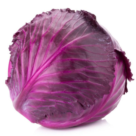 Red cabbage